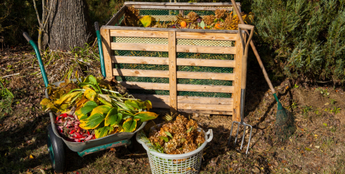 Compost Image